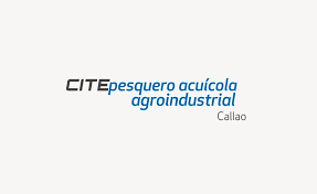 CITE Callao